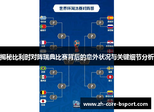 揭秘比利时对阵瑞典比赛背后的意外状况与关键细节分析