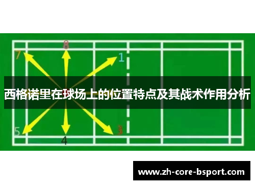 西格诺里在球场上的位置特点及其战术作用分析
