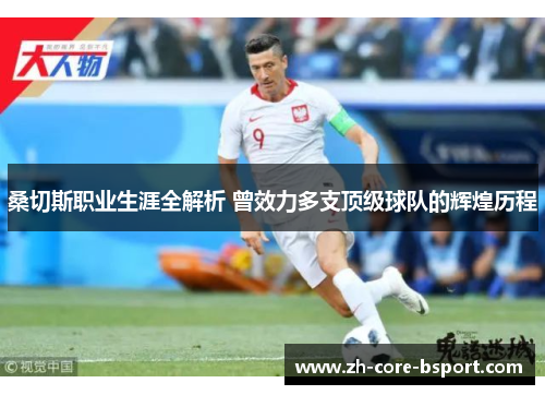 桑切斯职业生涯全解析 曾效力多支顶级球队的辉煌历程