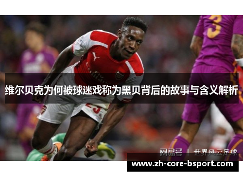 维尔贝克为何被球迷戏称为黑贝背后的故事与含义解析